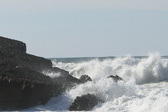 Enlarge photo 49