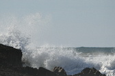 Enlarge photo 50