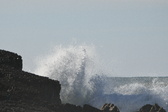 Enlarge photo 51