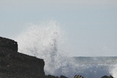Enlarge photo 52