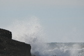 Enlarge photo 48