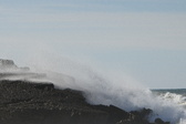 Enlarge photo 45