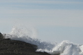 Enlarge photo 43