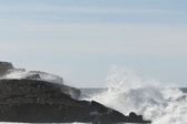 Enlarge photo 37