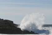Enlarge photo 39