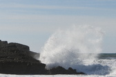 Enlarge photo 40