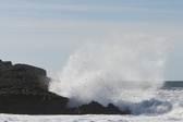 Enlarge photo 36
