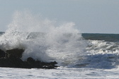 Enlarge photo 35