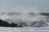 Enlarge photo 34