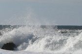 Enlarge photo 31