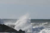 Enlarge photo 25