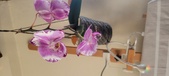 Enlarge photo 31