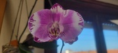 Enlarge photo 33