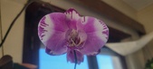 Enlarge photo 35