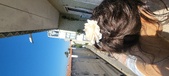 Enlarge photo 172
