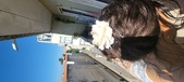 Enlarge photo 171