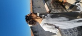 Enlarge photo 169