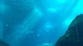 Enlarge MPEG4 12