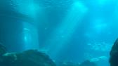 Enlarge MPEG4 13