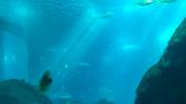 Enlarge MPEG4 14