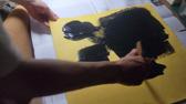 Enlarge MPEG4 3