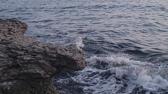 Enlarge MPEG4 2