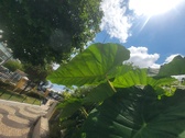 Enlarge photo 37