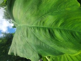 Enlarge photo 53