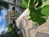 Enlarge photo 57