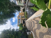 Enlarge photo 59