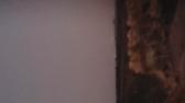 Enlarge MPEG4 17