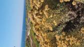 Enlarge MPEG4 25