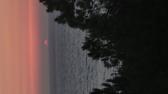 Enlarge MPEG4 31