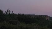 Enlarge MPEG4 37