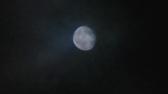 Enlarge MPEG4 8