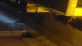 Enlarge MPEG4 58