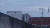 Enlarge MPEG4 23