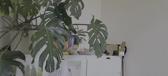 Enlarge MPEG4 230