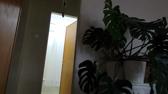 Enlarge MPEG4 231