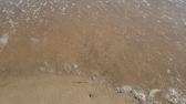 Enlarge MPEG4 315