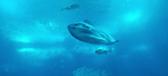 Enlarge MPEG4 178