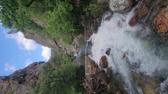 Enlarge MPEG4 444