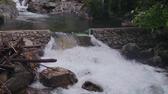 Enlarge MPEG4 450