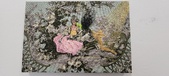 Enlarge photo 86