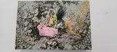 Enlarge photo 87