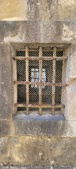 Enlarge photo 135