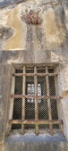 Enlarge photo 137