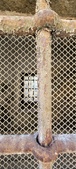 Enlarge photo 140