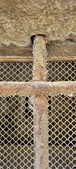 Enlarge photo 141