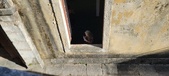 Enlarge photo 146
